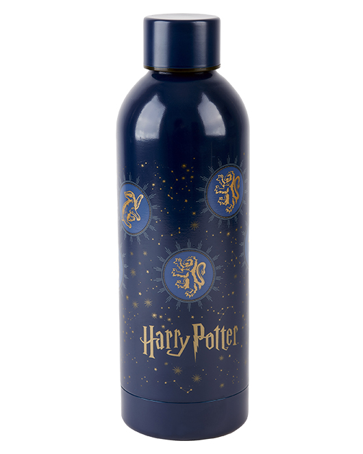 Botella Harry Potter 500ml