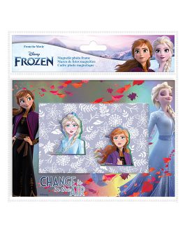 MAGNETIC PICTURE FRAME FROZEN
