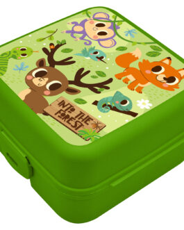 LUNCH BOX WITH COMPARTMENTS INTO THE FOREST